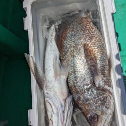 今日もクログチ(泉州丸)