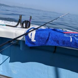 飲ませ釣り(サウス)