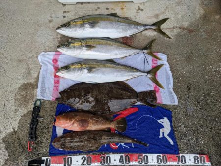 ヒラメリベンジ（サウス）