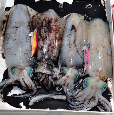 ちょっと早めのボートエギング