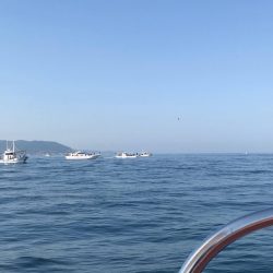 淡路のタコエギ