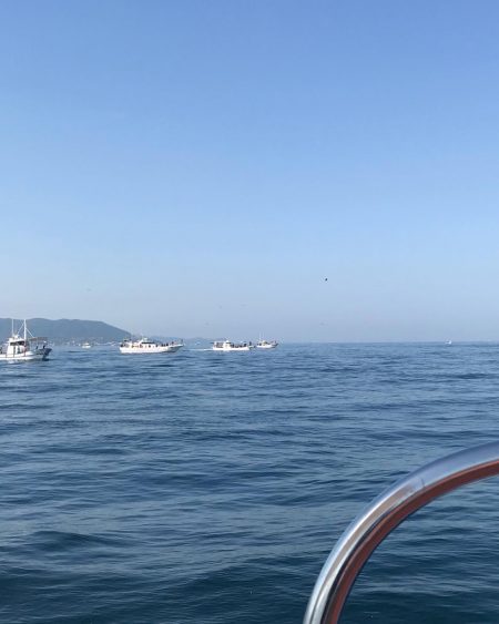 淡路のタコエギ