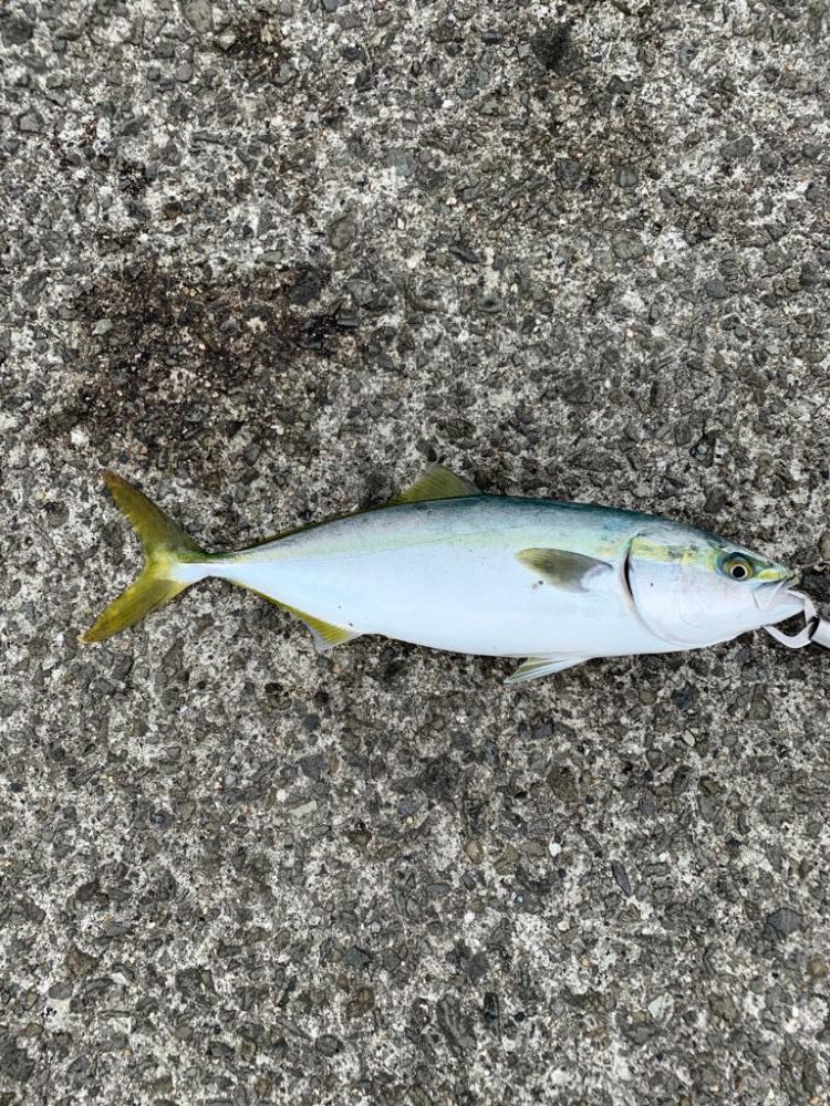 朝夕すごかった