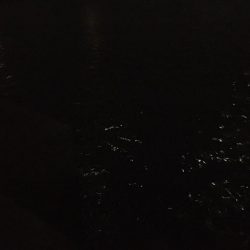 雨後のバチ抜けは‥