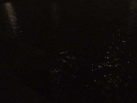 雨後のバチ抜けは‥