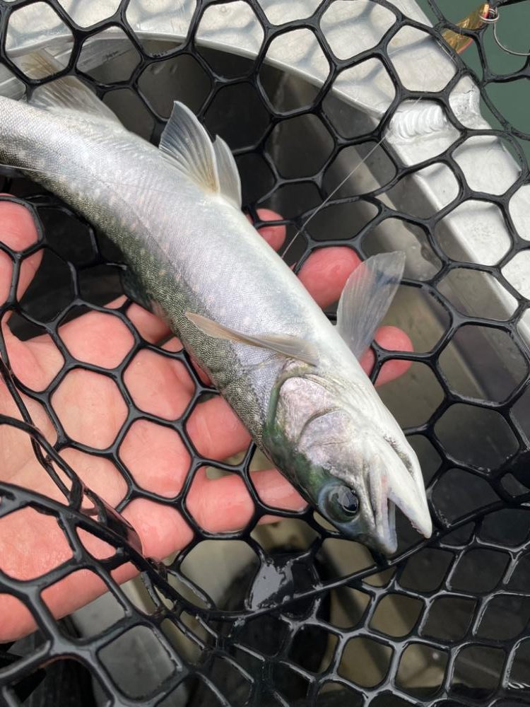然別湖釣行2日目