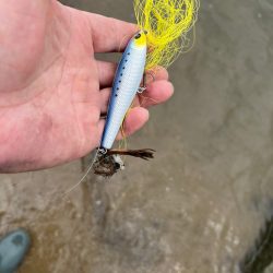 そろそろトップで！