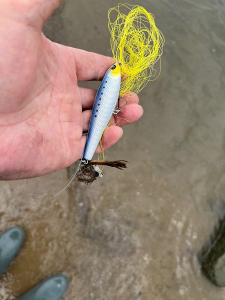 そろそろトップで！