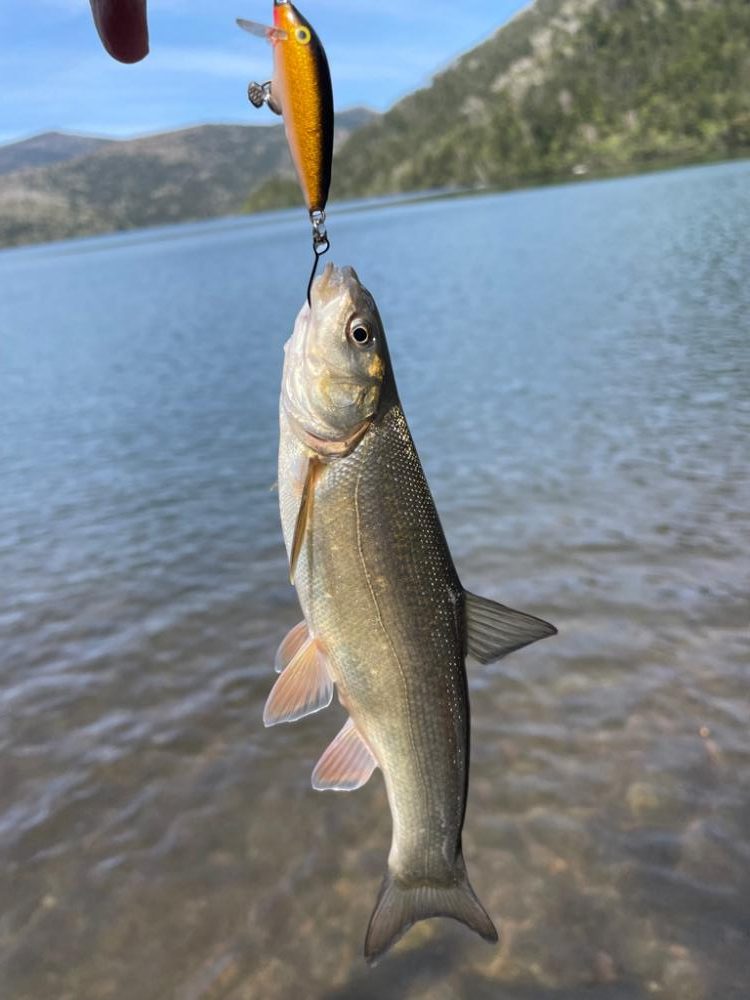 初の然別湖グレートフィッシング!