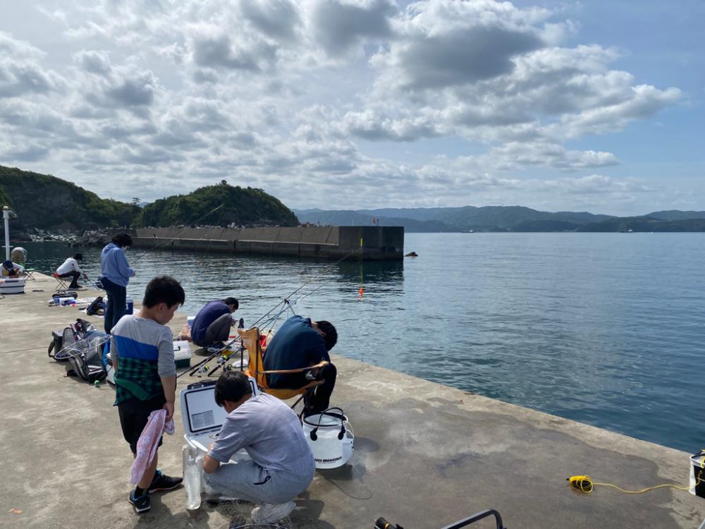 アジが連発‼️