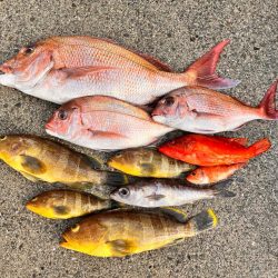 久々にあの海に