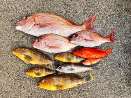 久々にあの海に