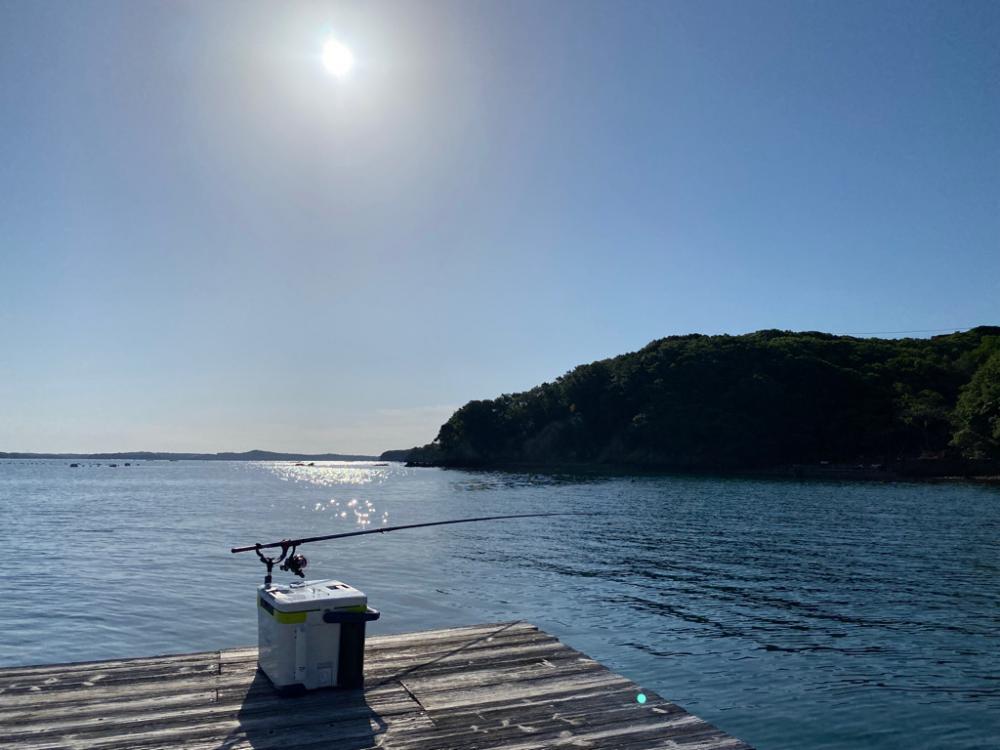 来た〜アオリ3kgアップ