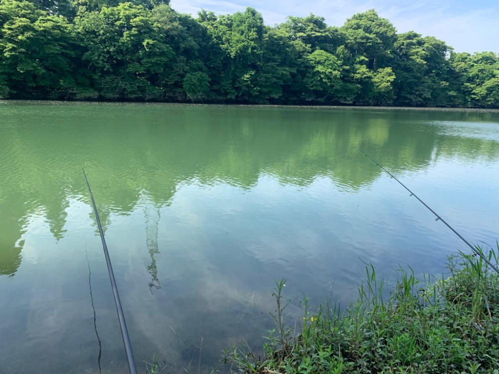 久々の浮き釣りに