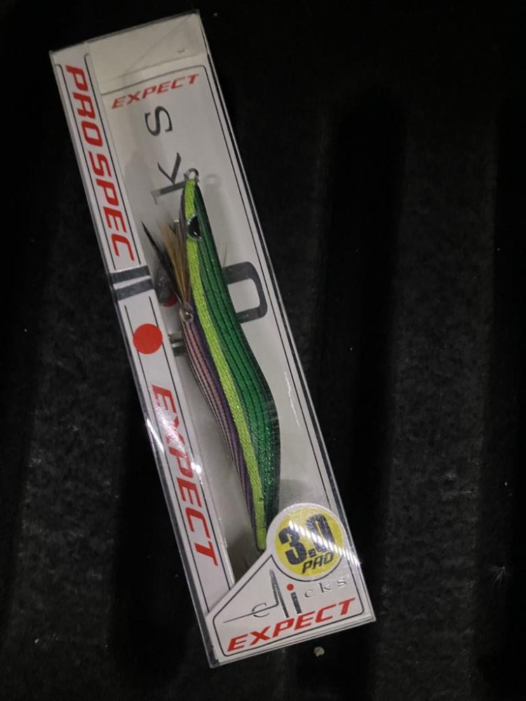 春イカシーズン到来(^｡^)