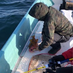 20230503 橘湾〜伊島沖タイラバ