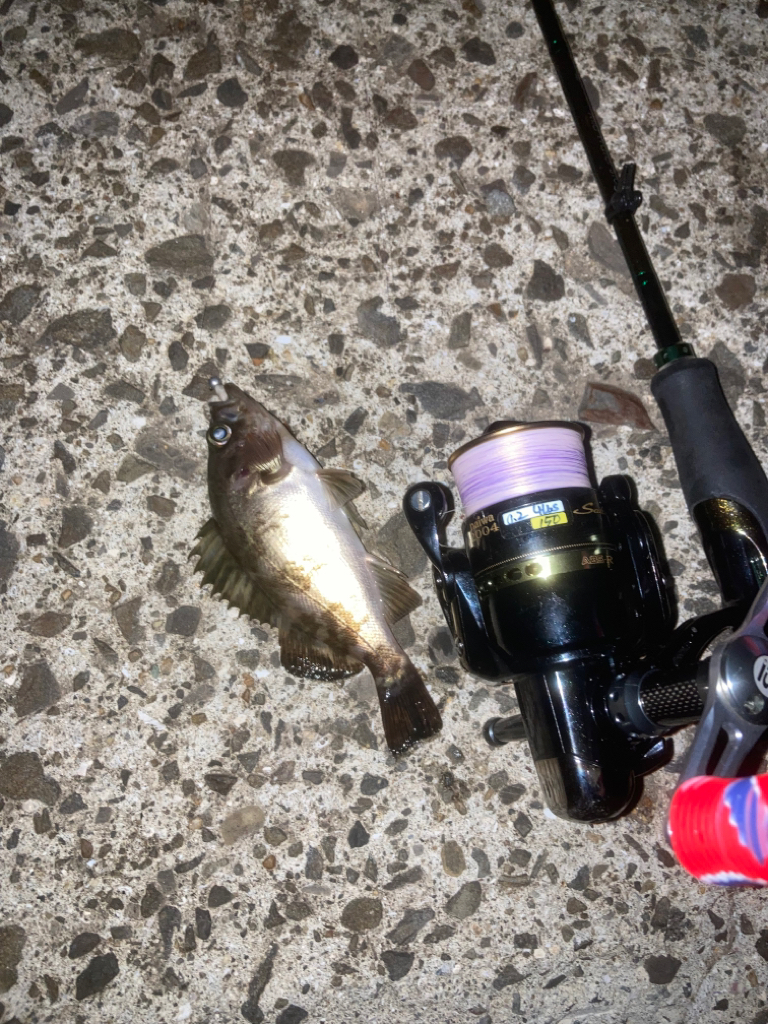 ご近所メバリング