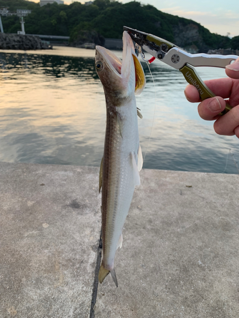 今年初のショアジギング！