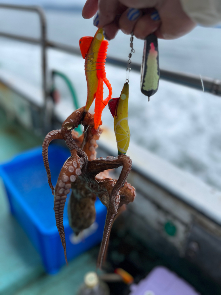 明石タコ釣り🐙
