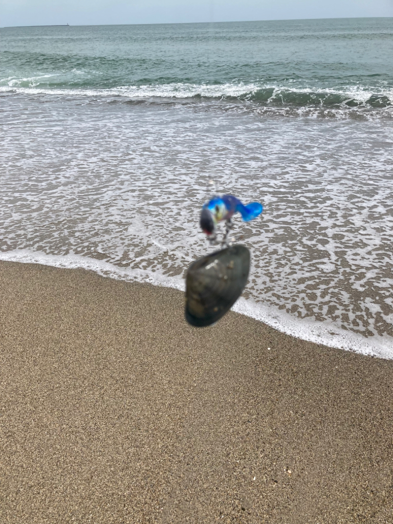 2023初マゴチ🎊