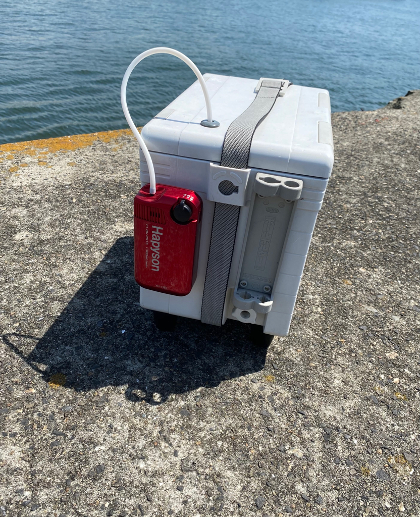 5月スタート エビ撒き釣り にて