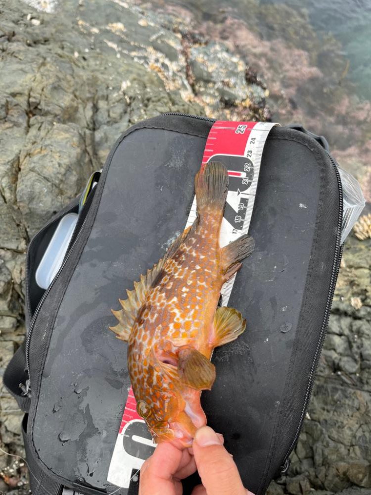 小浜ライトロック