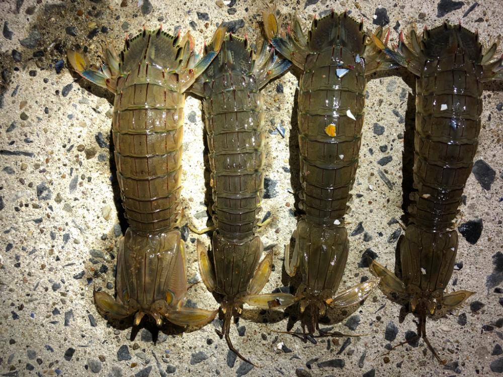 久しぶりの餌釣り♪