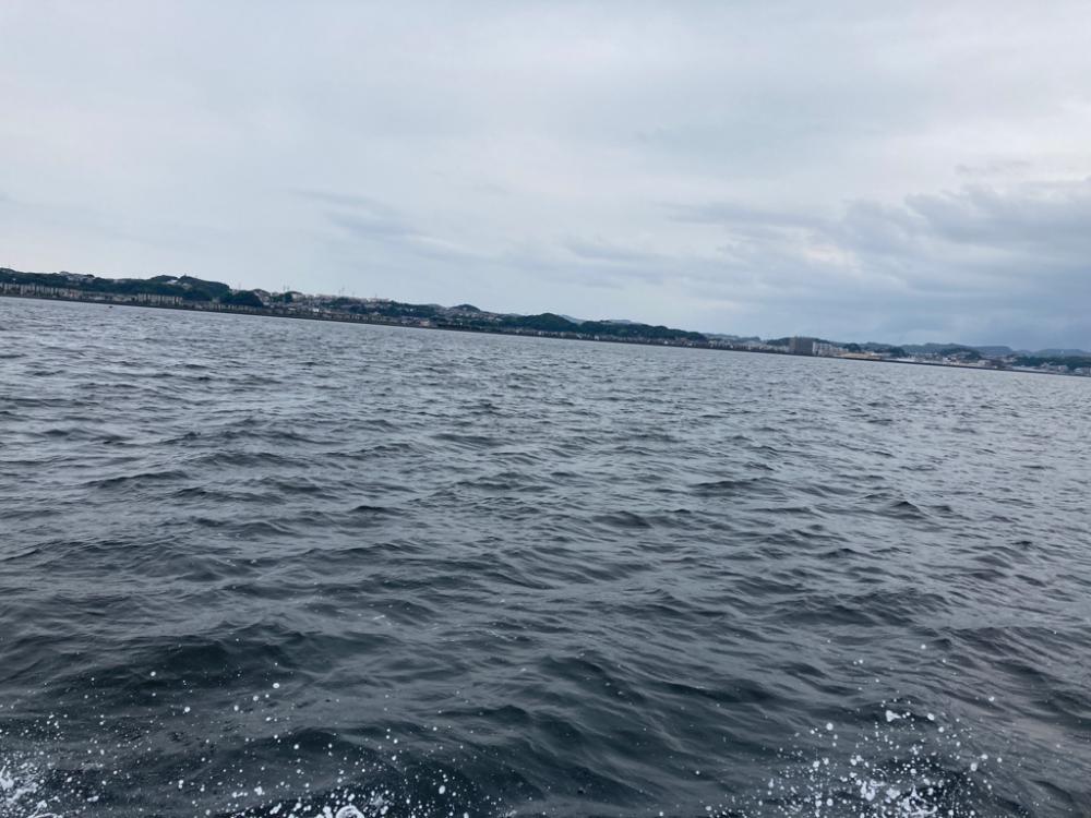 初めての天秤タチウオ