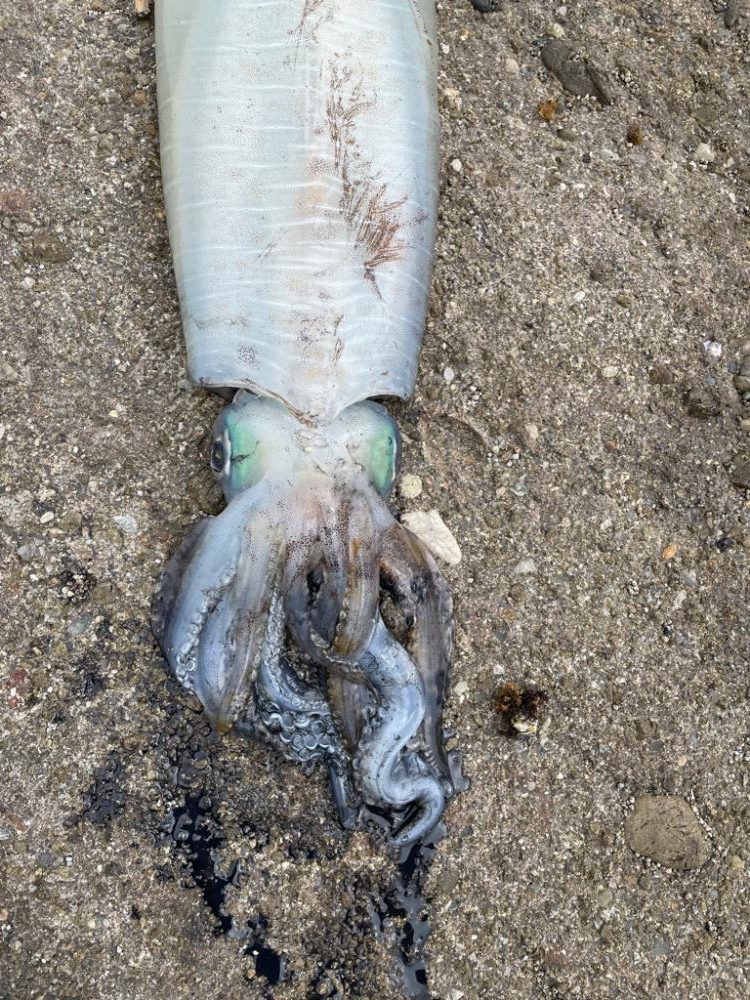 自己記録更新‼️