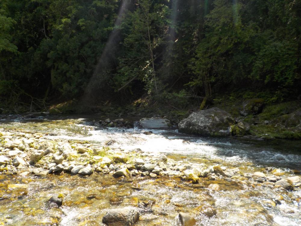 美山アマゴ釣行第5戦〜暑い🥵〜