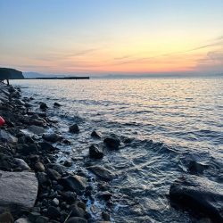 久々のフロートゲーム