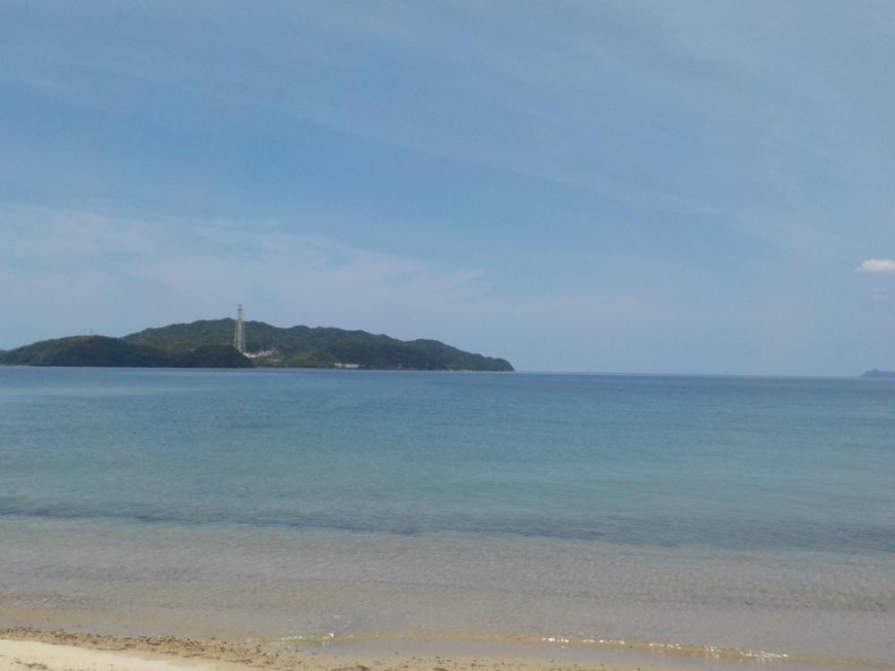 大逆転〜ピンギス祭〜