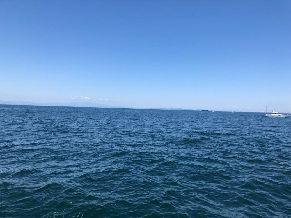 ヤリイカ イカメタル