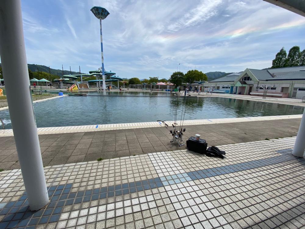 1人かめプー無双