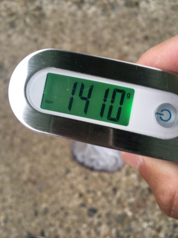 【タコフィネス】 シーズン初物。600g頭に3杯。