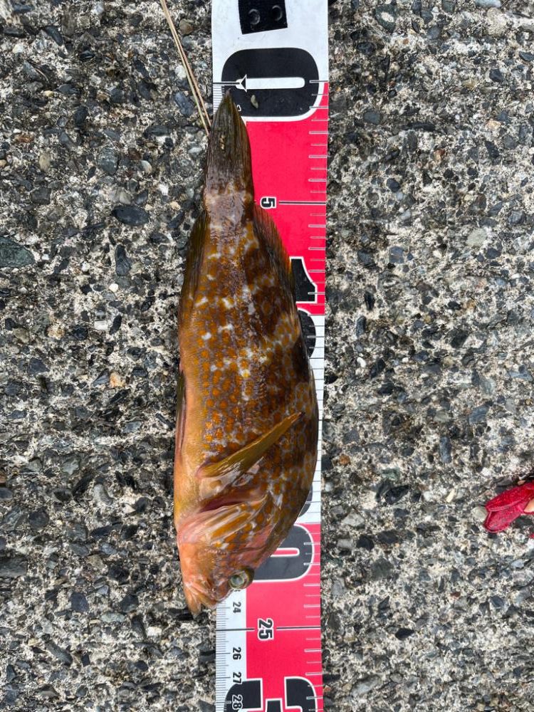 GWライトゲームin小浜