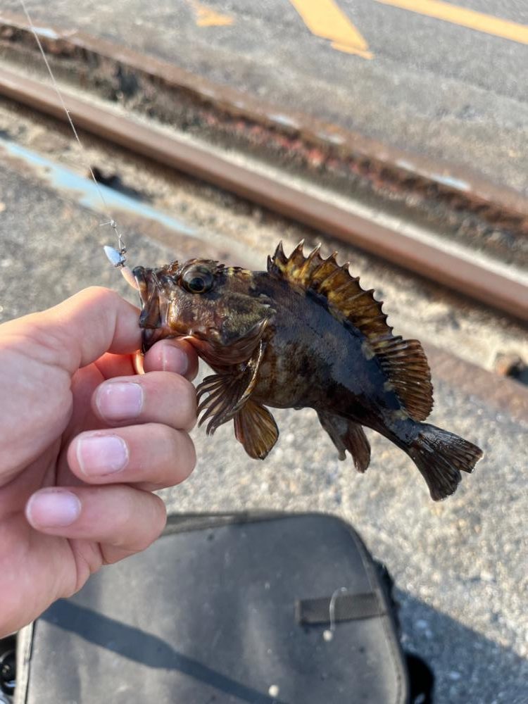 GWライトゲーム