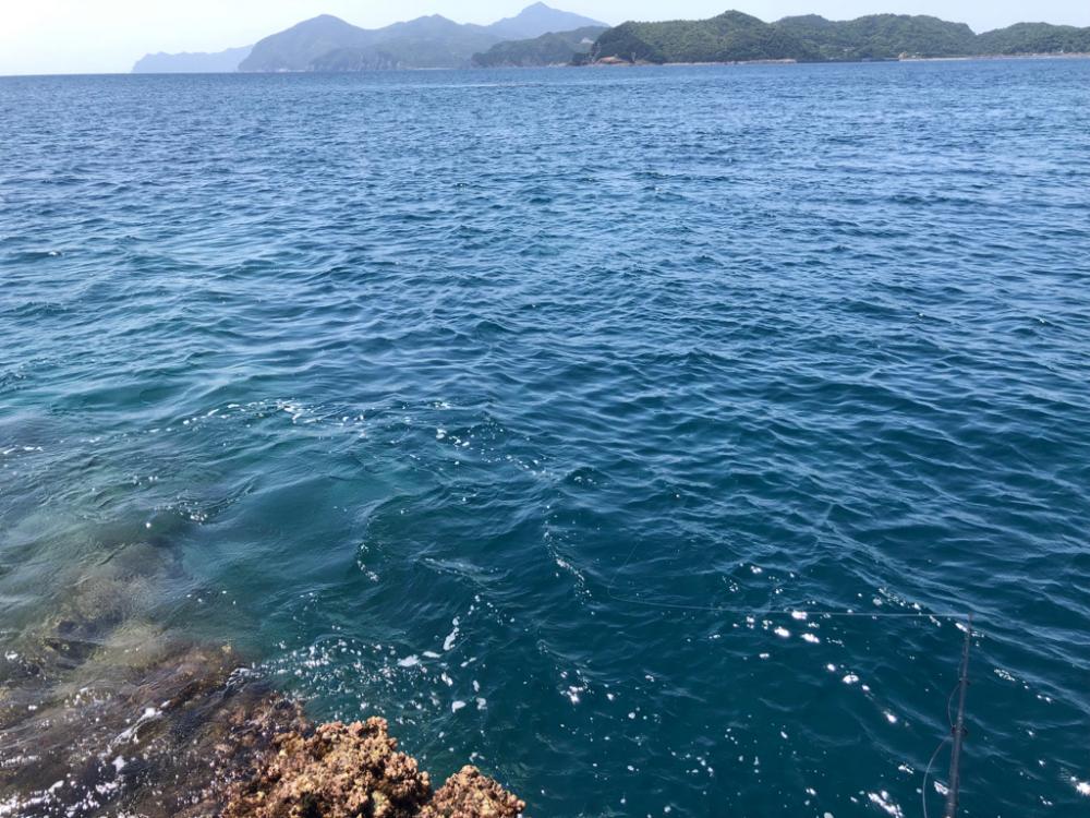 スジアラを求めて