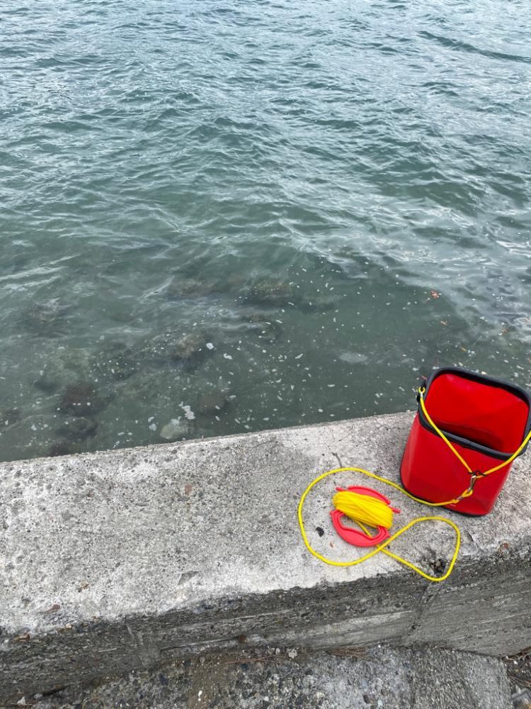 キスたくさん釣れました