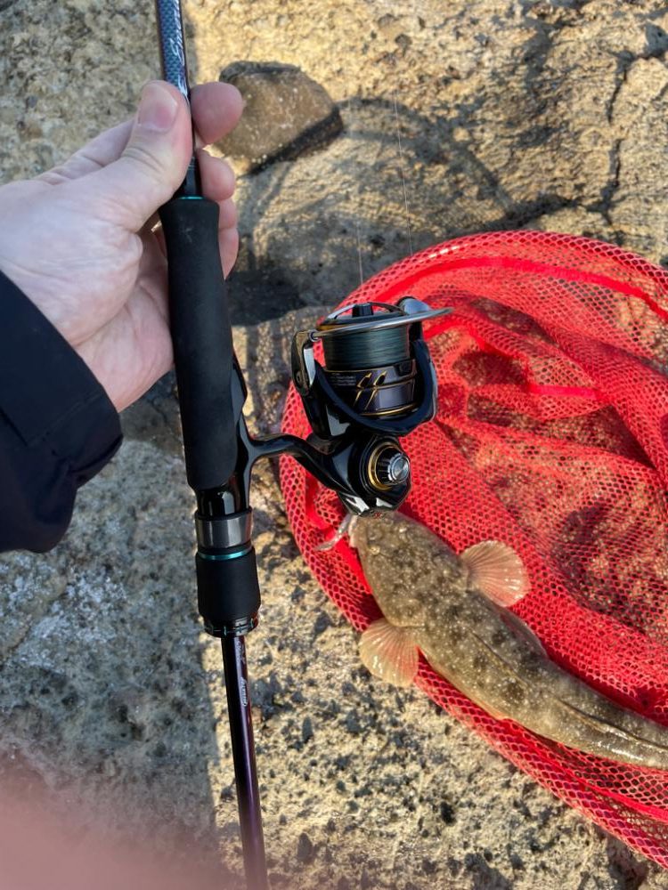 フラットフィッシュ狙いで竹野浜へ