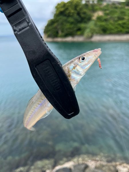 キスちょい投げ