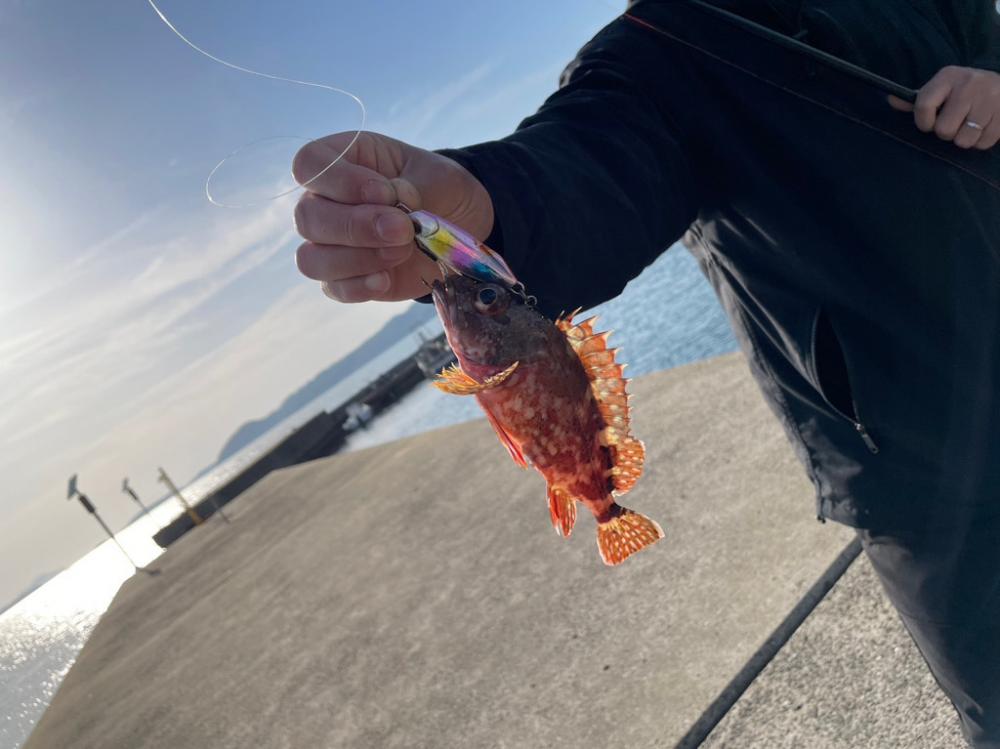 長崎離島最終日