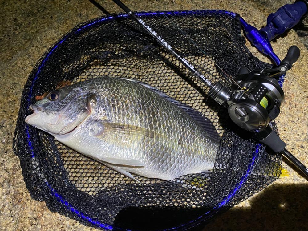 淀川ブリームゲーム