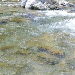 数は少ない、釣れたら良型