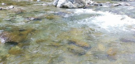 数は少ない、釣れたら良型