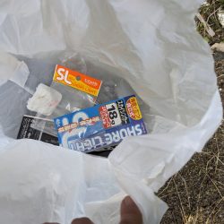 清掃活動：春が来た