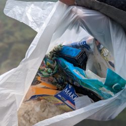 清掃活動：マズメにドンッ！