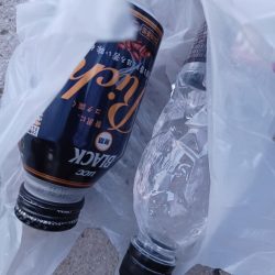 清掃活動：やっとモンゴウ来てくれた