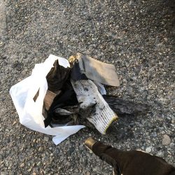 清掃活動：久々に魚釣れました