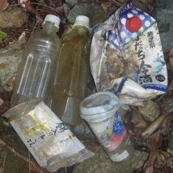 清掃活動：5月の鯰釣り